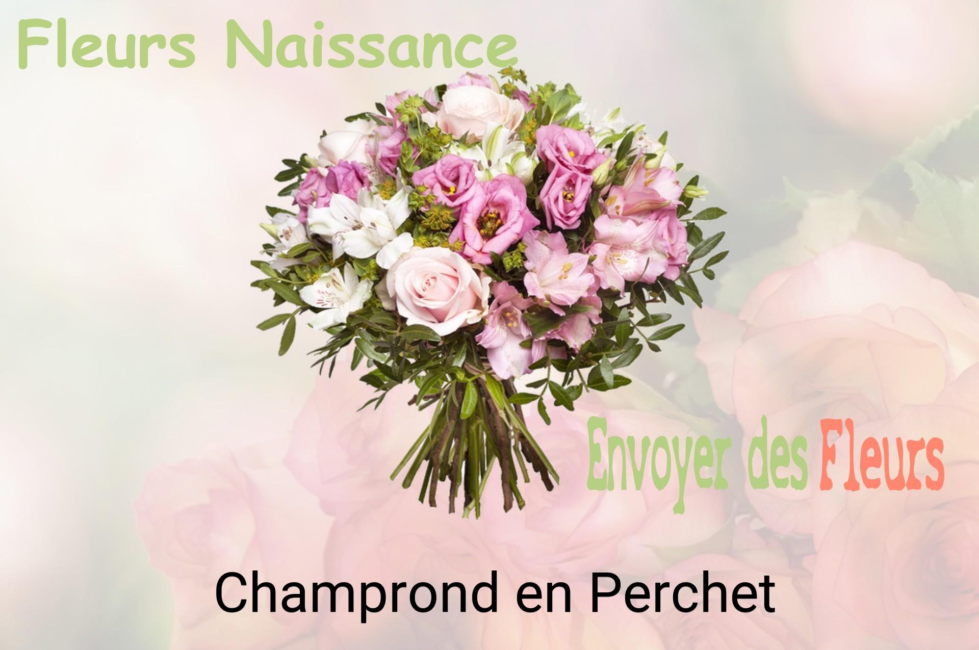 Bouquet de fleurs de naissance livré à Champrond-en-Perchet